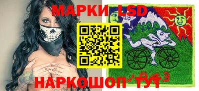 mdpv Камышлов