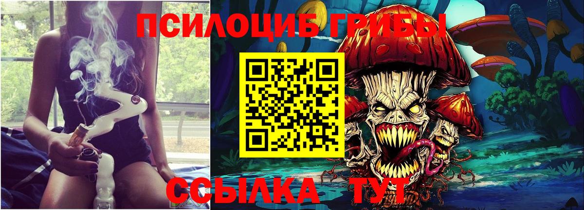 Галлюциногенные грибы Psilocybe Кудымкар