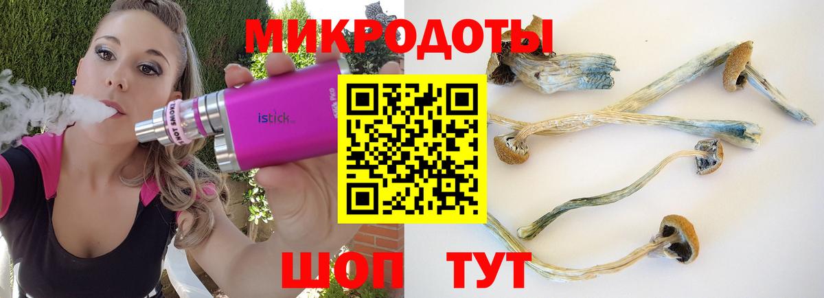 Кудымкар  Галлюциногенные грибы мухоморы  Псилоцибиновые грибы Cubensis  Вход с VPN 
